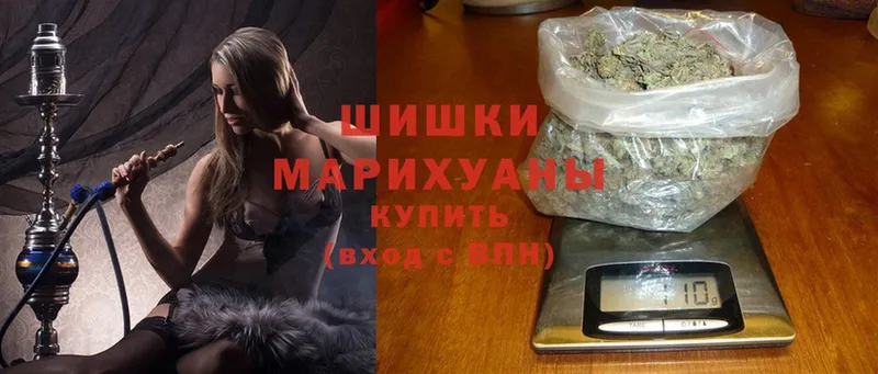 Каннабис Amnesia  купить наркотики цена  Югорск 